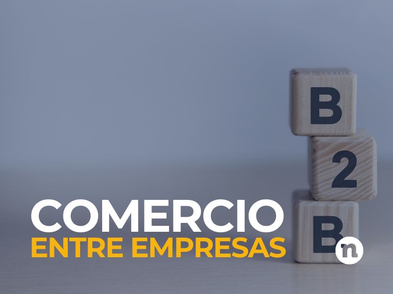 modelo B2B