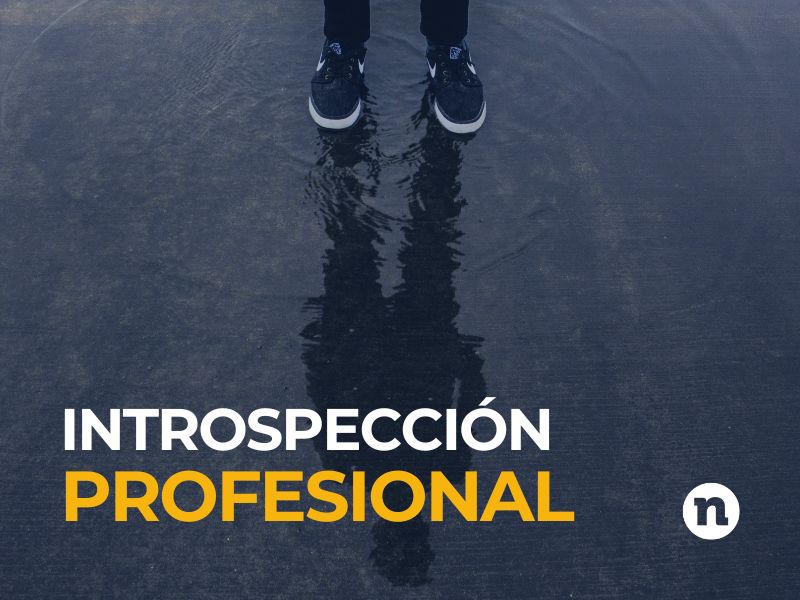 introspección profesional