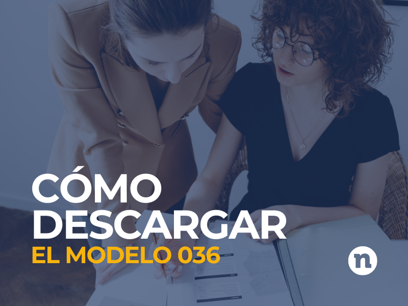 descargar modelo 036